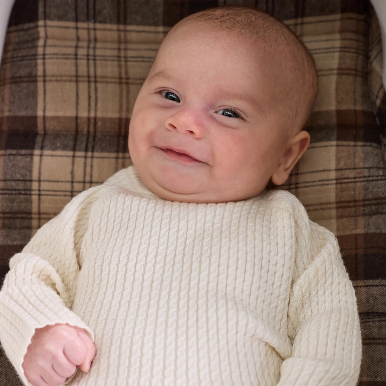 Chocolate Check Universal Bassinet Liner - Image 7